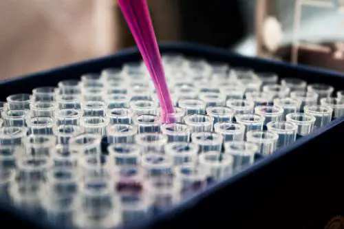 Tumori, nuova terapia aumenta tasso sopravvivenza per cancro a polmoni