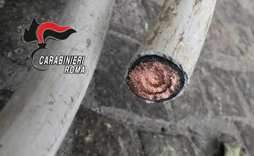 Scoperti ladri di "oro rosso" a Torresina