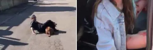 Bari, un dogo argentino azzanna una ragazzina