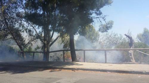 Taranto, dà fuoco al parco per uccidere le zanzare: in manette 45enne 