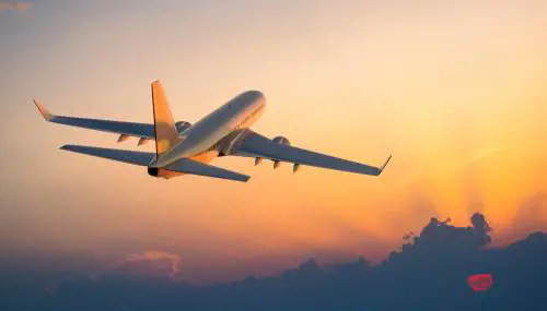 Fagioli scambiati per ovuli: disavventura per un turista in aeroporto