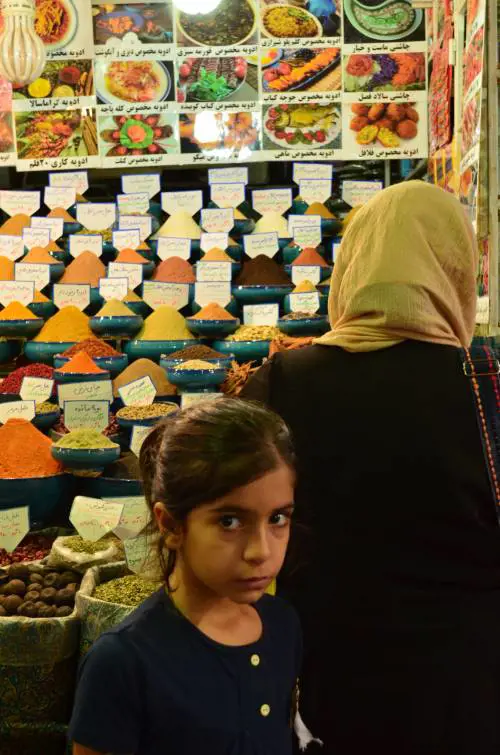 L'Iran alla prova della Ue: tra pressioni Usa e sanzioni