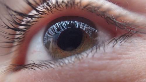 Retina artificiale liquida: una speranza concreta contro la cecità
