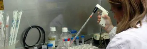 Tumore al pancreas e ai polmoni: le nuove cure