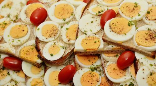 Lo studio: "Mangiare più di un uovo al giorno può provocare infarto o ictus"