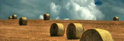 Basilicata, Coldiretti lancia l'allarme: 10milioni di euro di danni per maltempo