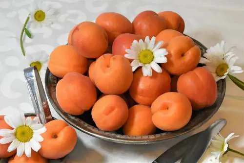 Albicocche, un prezioso frutto per la salute