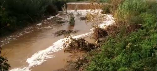 Viaggio nella Valle del Sacco, la "terra dei fuochi" alle porte di Roma