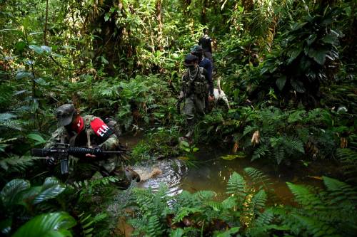 Nella giungla colombiana, dove si nasconde l'Eln