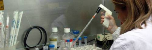 Tumori, scoperta una proteina che li fa crescere