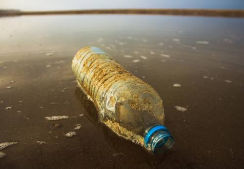 Plastica nei mari italiani, la denuncia di Ispra: nei fondali più del 70% dei rifiuti