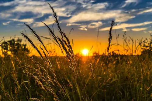 Tutti gli effetti benefici del solstizio d’estate