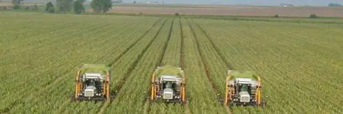 Tragedia a Matera, travolti da un mietitrebbia: muoiono due fratelli