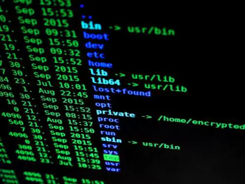 "Tutti intercettati, ma non la pedopornografia". In Senato bufera sui trojan