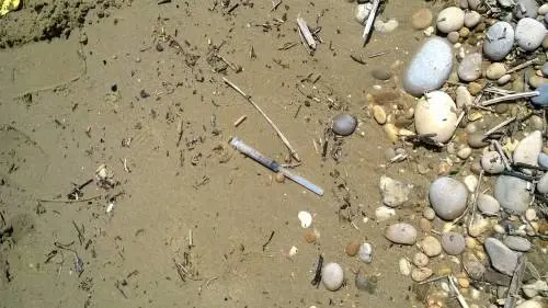 In spiaggia con la mamma: bimba punta da una siringa