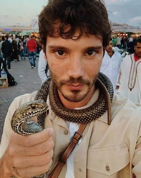  Stefano De Martino in Rai, la "benedizione" di Maurizio Costanzo