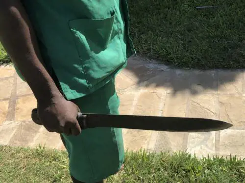 Parma, fermati 4 nigeriani: spaccio, rapine e aggressione con machete