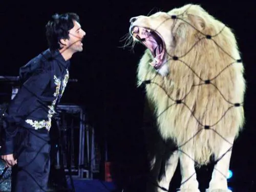 Il principe dei domatori: "Le tigri sono la mia vita ma qui si sfida il destino"