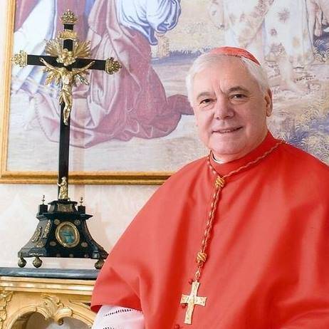 Cardinale denuncia l’"ondata progressista" penetrata nella Chiesa