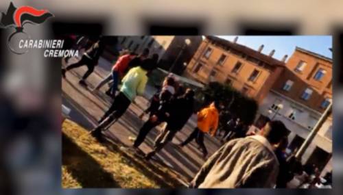 Cremona, fight club organizzati via social. Arrestati 7 ragazzi