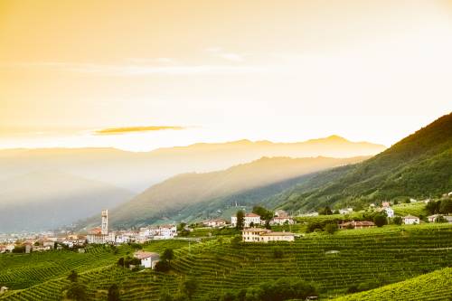 "Non solo vino, vince la bellezza"