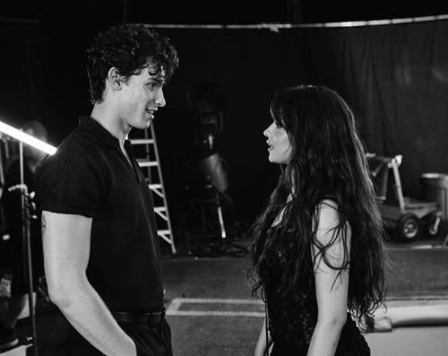 Shawn Mendes nega di avere una relazione con Camila Cabello