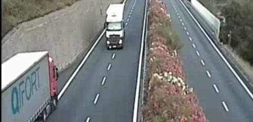 Camionista romeno ubriaco viaggia per tre chilometri contromano sull'A10