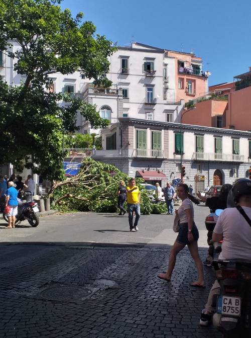 Paura a Napoli, albero crolla in strada: ferito ragazzo