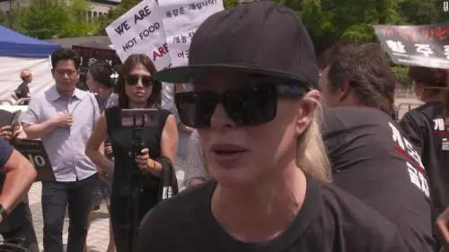 Kim Basinger si schiera contro i mangiatori di cani