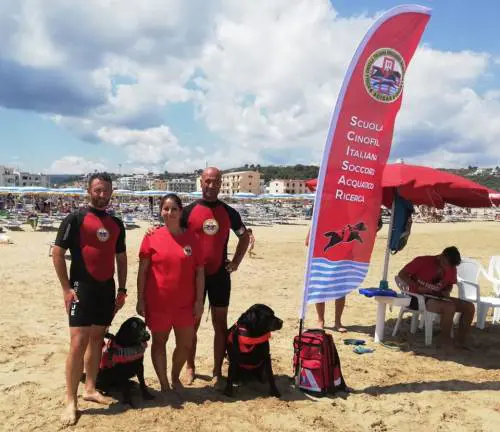 Vieste, rischiano di annegare: bagnanti salvati da due labrador