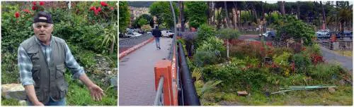 Pensionato: vent'anni per creare un giardino di rose sul fiume, Comune lo rimuove