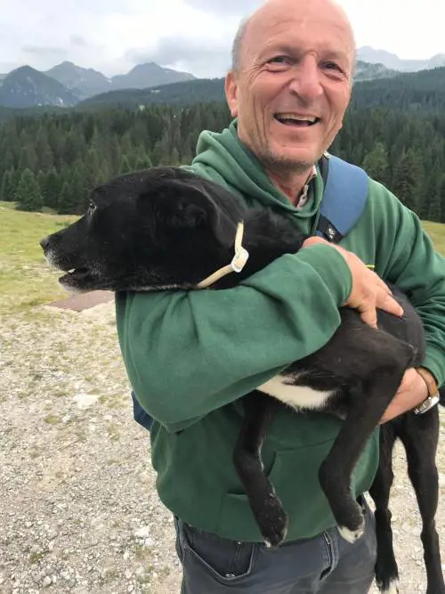 Che avventura aver ritrovato il mio cane perso tra i monti