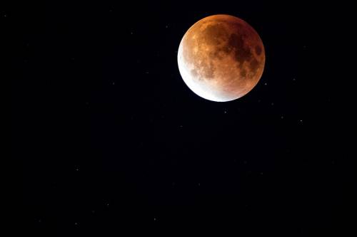 Arriva l'eclissi parziale: ecco quando e dove vedere la Luna Rossa