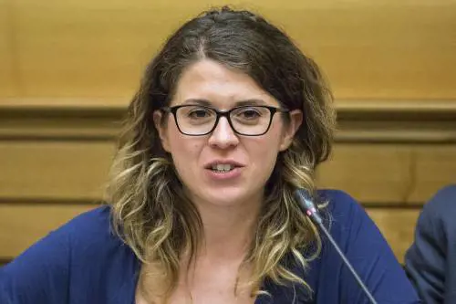 "Incinta non puoi presiedere": scoppia il caos in commissione