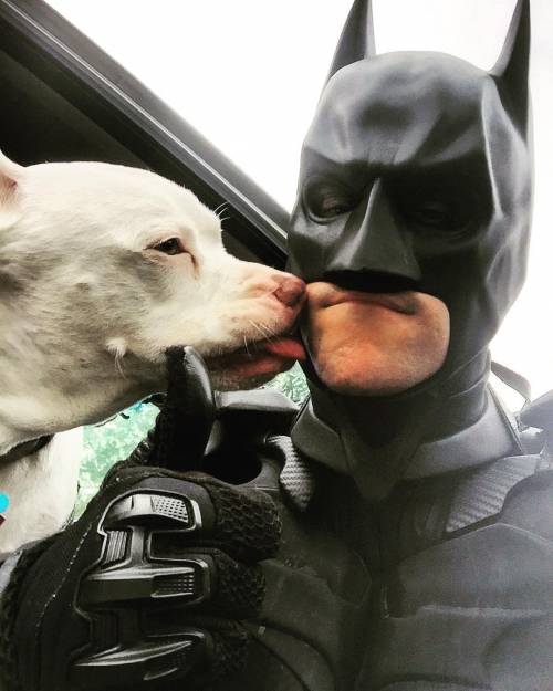 Batman esiste davvero e salva cani e gatti maltrattati