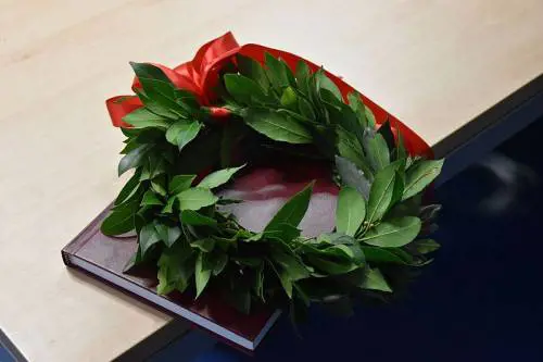 Affetto da encefalopatia si laurea con 110 e lode alla Parthenope 