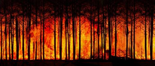 Sicilia, il Corpo forestale ferma le attività nei festivi Rischio incendi