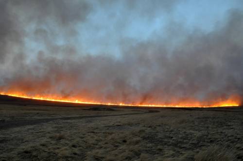 Incendi distruggono la Siberia: ora è a rischio anche l'Artico