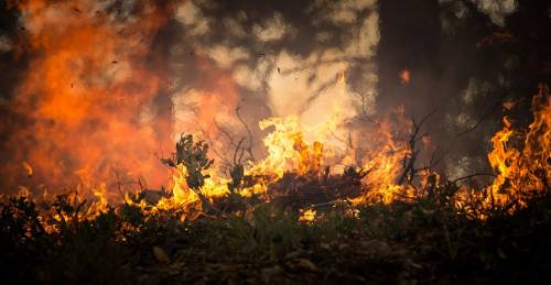 Incendio a Monreale. In fiamme ettari di vegetazione 