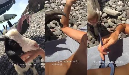 Marina La Rosa topless all'Eolie. Ma la capra le mangia il costume