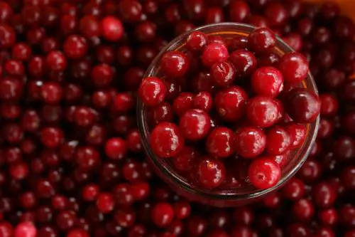 Estate: probiotici e mirtilli rossi per il benessere intimo