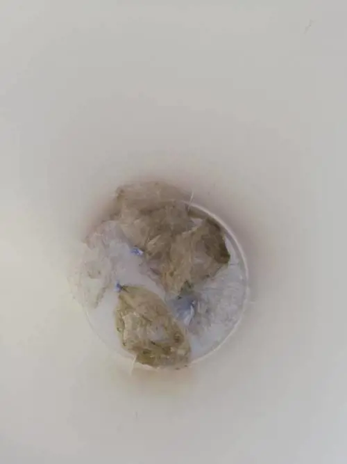 Foto dal profilo Facebook di Donati Di Campli