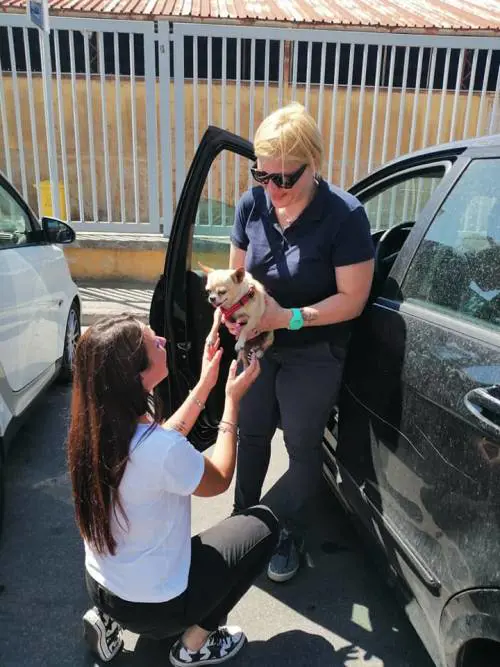 Latina, riabbraccia il cagnolino scomparso da 8 anni