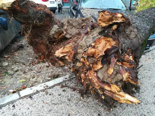 Maltempo al Nord: danni in Lombardia