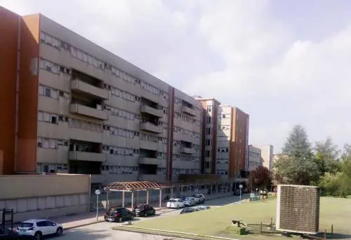 Esplode petardo, runner ferito alle gambe