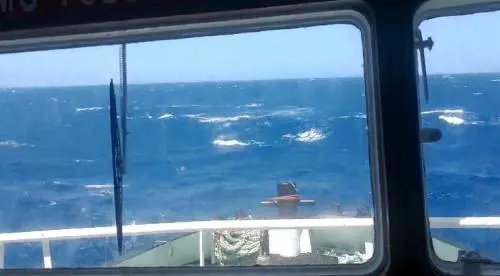 Gli ispettori sulla Open Arms: "Non c'è una situazione critica"