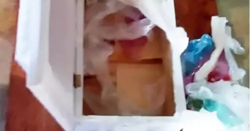 Il figlio neonato muore. I genitori trovano l'immondizia nella bara