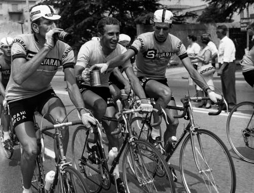 Felice Gimondi, una vita in bicicletta
