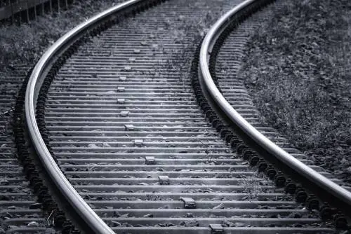 Mestre, si butta sotto il treno davanti alla madre: morto a 19 anni