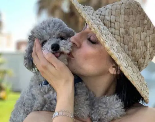 La prova del cuoco non va in onda: al suo posto i funerali dei poliziotti uccisi a Trieste